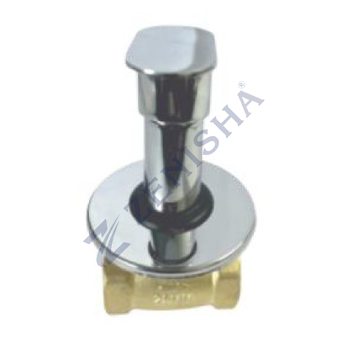Flush Valve With Flange